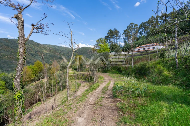 Terreno Agricola ou Rústico para Venda em Louredo Foto 7