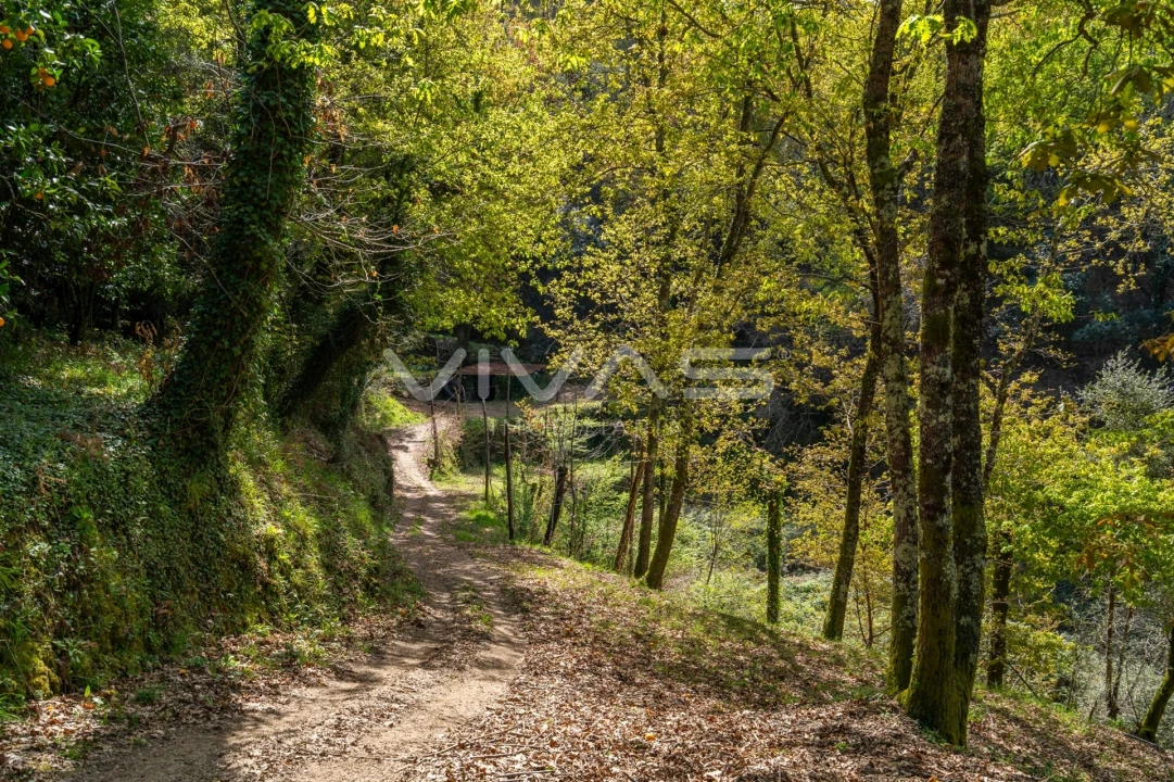 Terreno Agricola ou Rústico para Venda em Louredo Foto 4