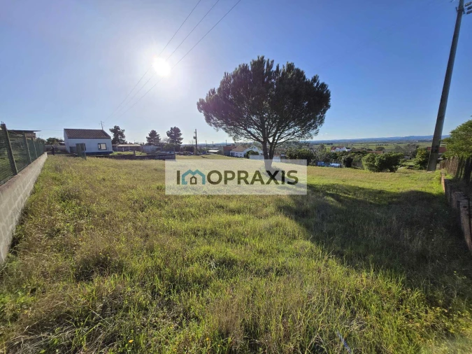 Terreno para Venda em Carregueira Foto 4