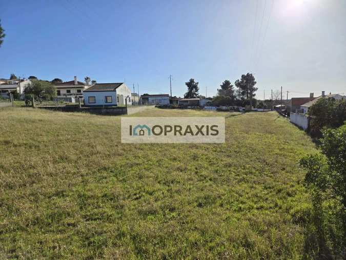 Terreno para Venda em Carregueira Foto 3