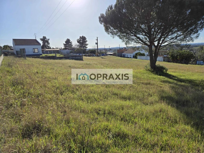 Terreno para Venda em Carregueira Foto 3