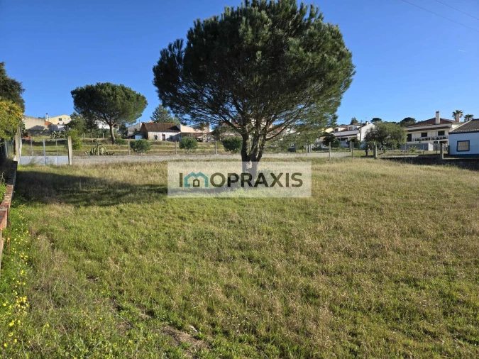 Terreno para Venda em Carregueira Foto 2