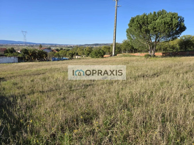 Terreno para Venda em Carregueira Foto 3