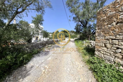Terreno para Venda em Santa Barbara de Nexe