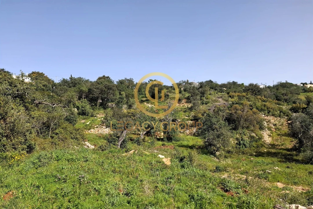 Terreno para Venda em Santa Barbara de Nexe Foto 19