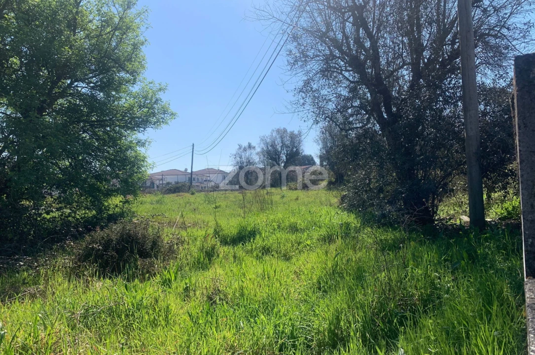 Moradia T3 para Venda em São João de Lourosa Foto 10
