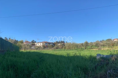 Moradia T4 para Venda em São João de Lourosa