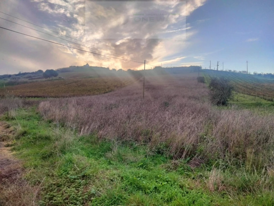 Terreno para Venda em Freiria Foto 2