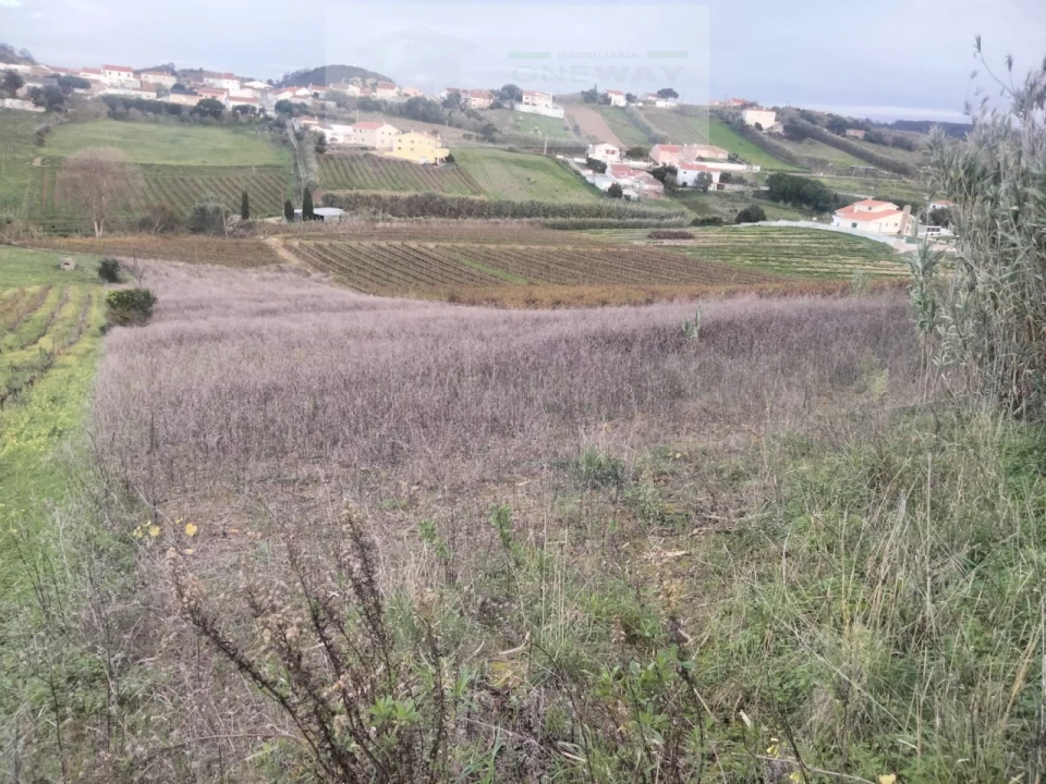 Terreno para Venda em Freiria Foto 5
