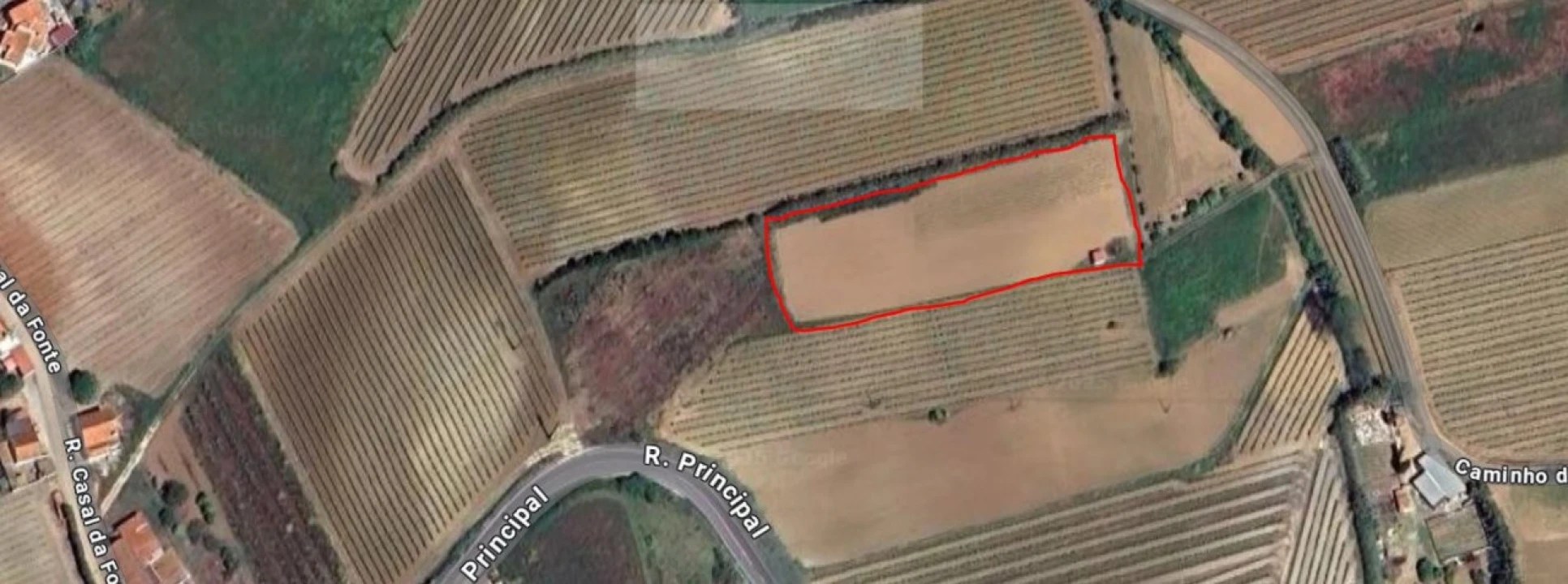 Terreno para Venda em Freiria Foto 4