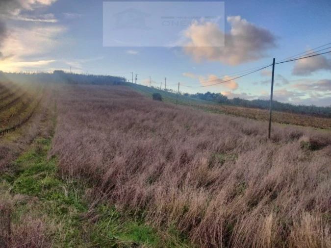 Terreno para Venda em Freiria Foto 1