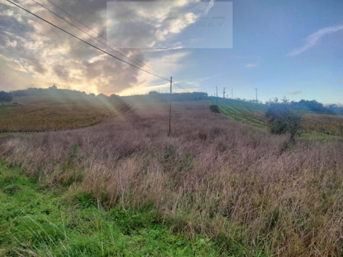 Terreno para Venda em Freiria Foto 3