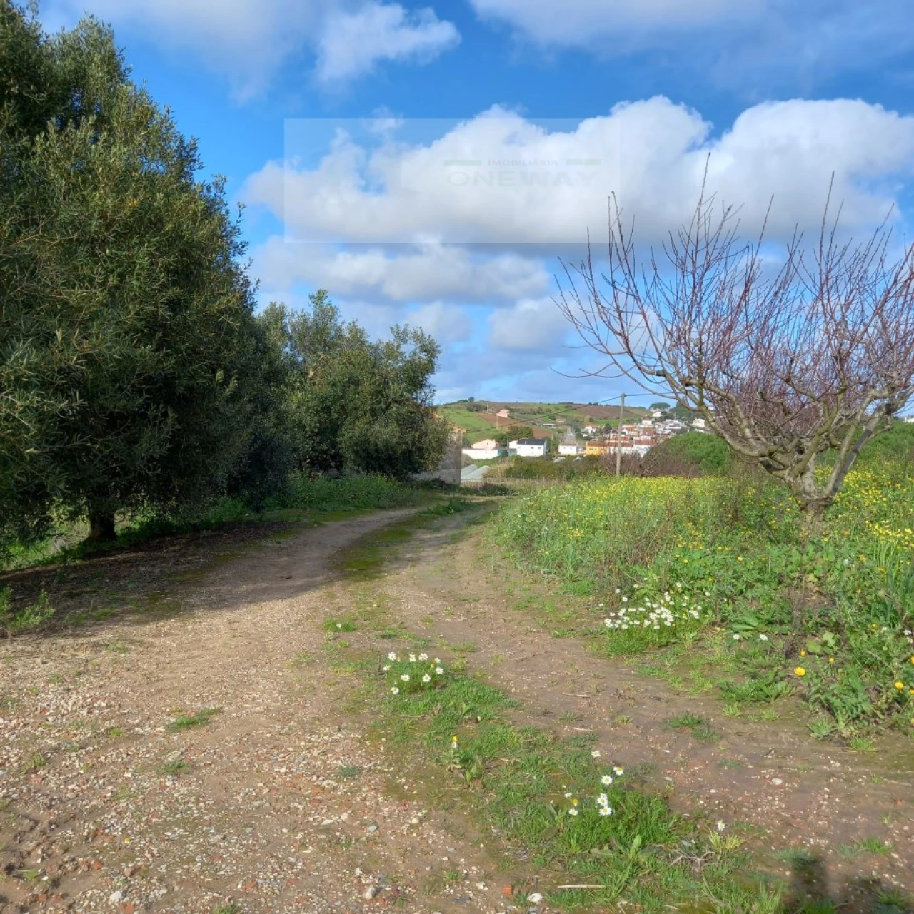Terreno para Venda em Azueira e Sobral da Abelheira Foto 2