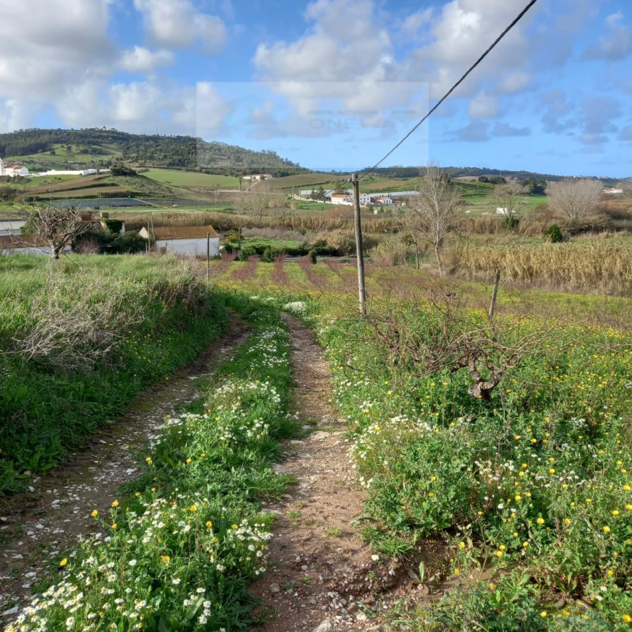 Terreno para Venda em Azueira e Sobral da Abelheira Foto 7