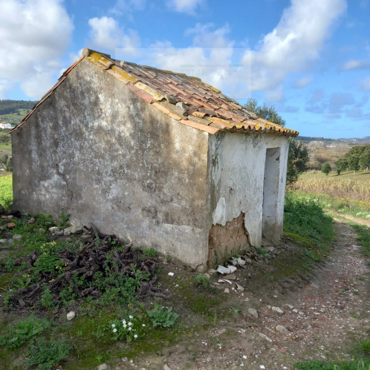 Terreno para Venda em Azueira e Sobral da Abelheira Foto 10