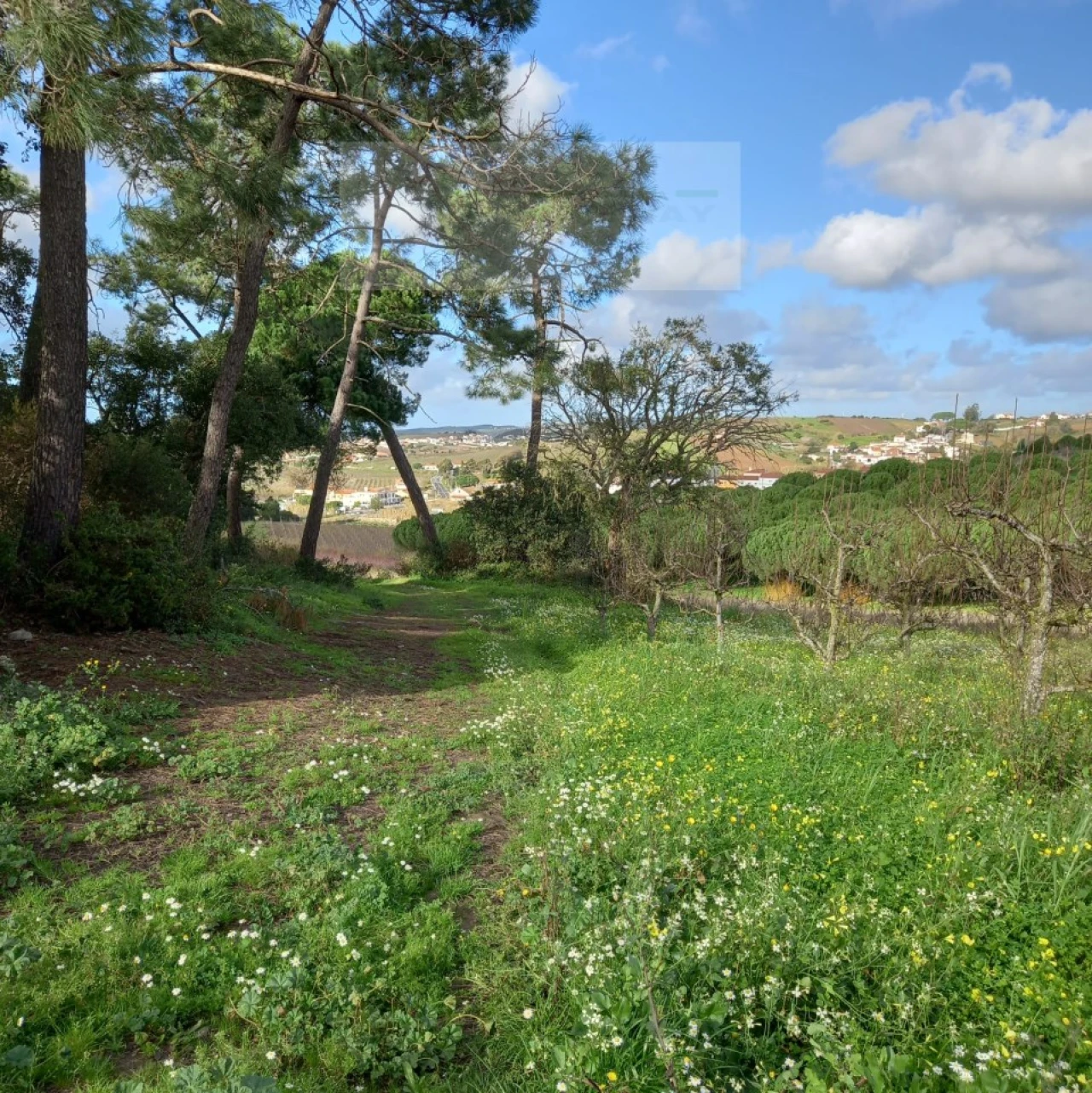 Terreno para Venda em Azueira e Sobral da Abelheira Foto 11