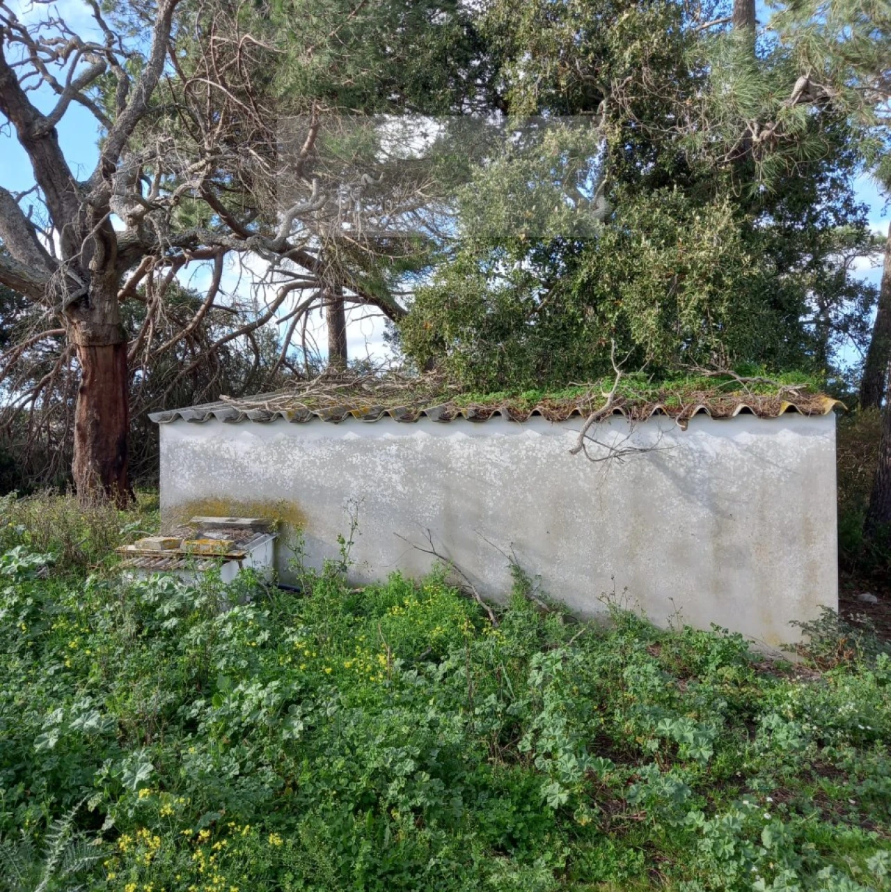 Terreno para Venda em Azueira e Sobral da Abelheira Foto 14