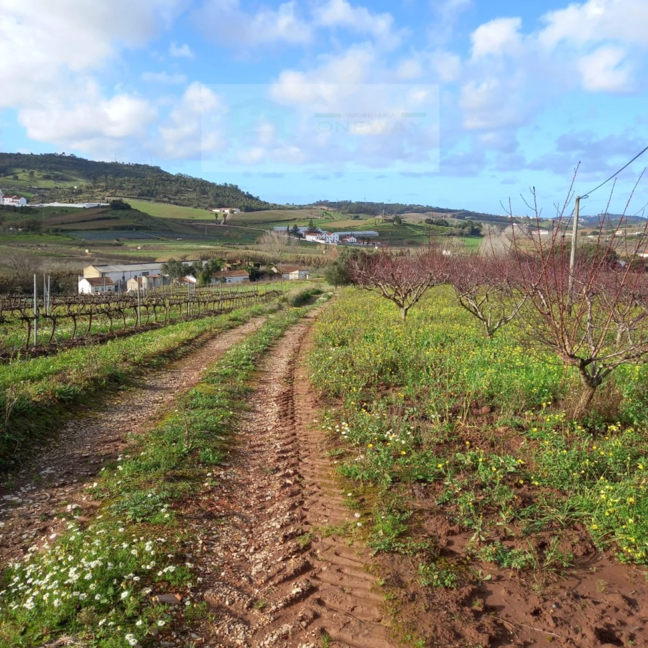 Terreno para Venda em Azueira e Sobral da Abelheira Foto 16
