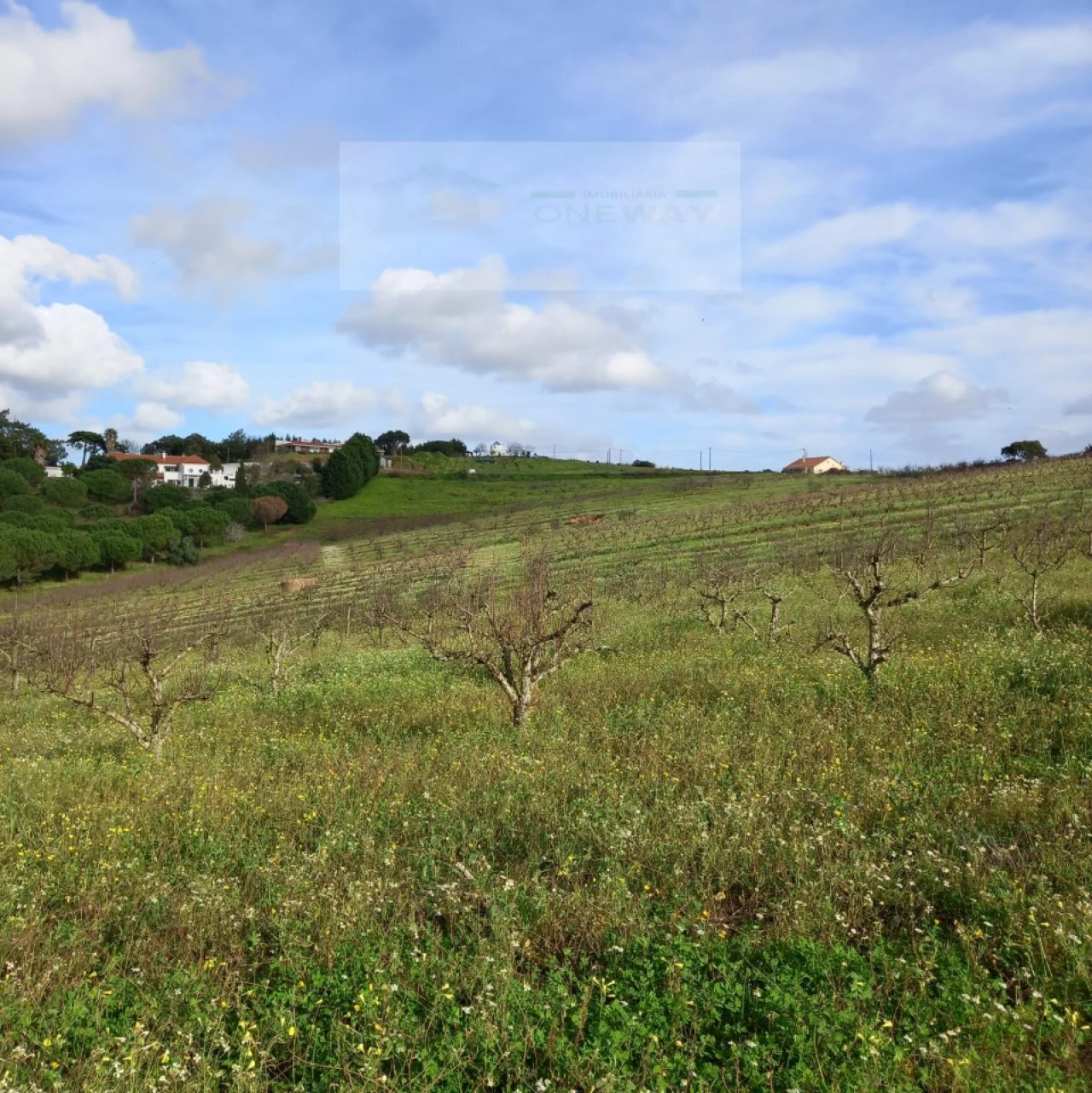 Terreno para Venda em Azueira e Sobral da Abelheira Foto 17