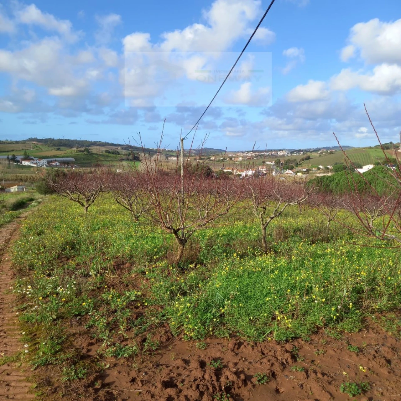 Terreno para Venda em Azueira e Sobral da Abelheira Foto 18