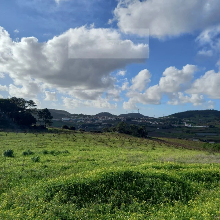 Terreno para Venda em Azueira e Sobral da Abelheira Foto 23
