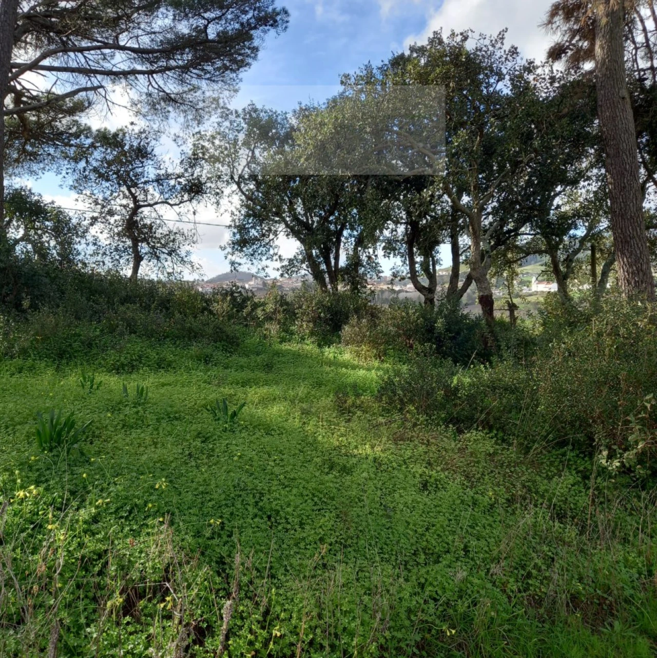 Terreno para Venda em Azueira e Sobral da Abelheira Foto 26