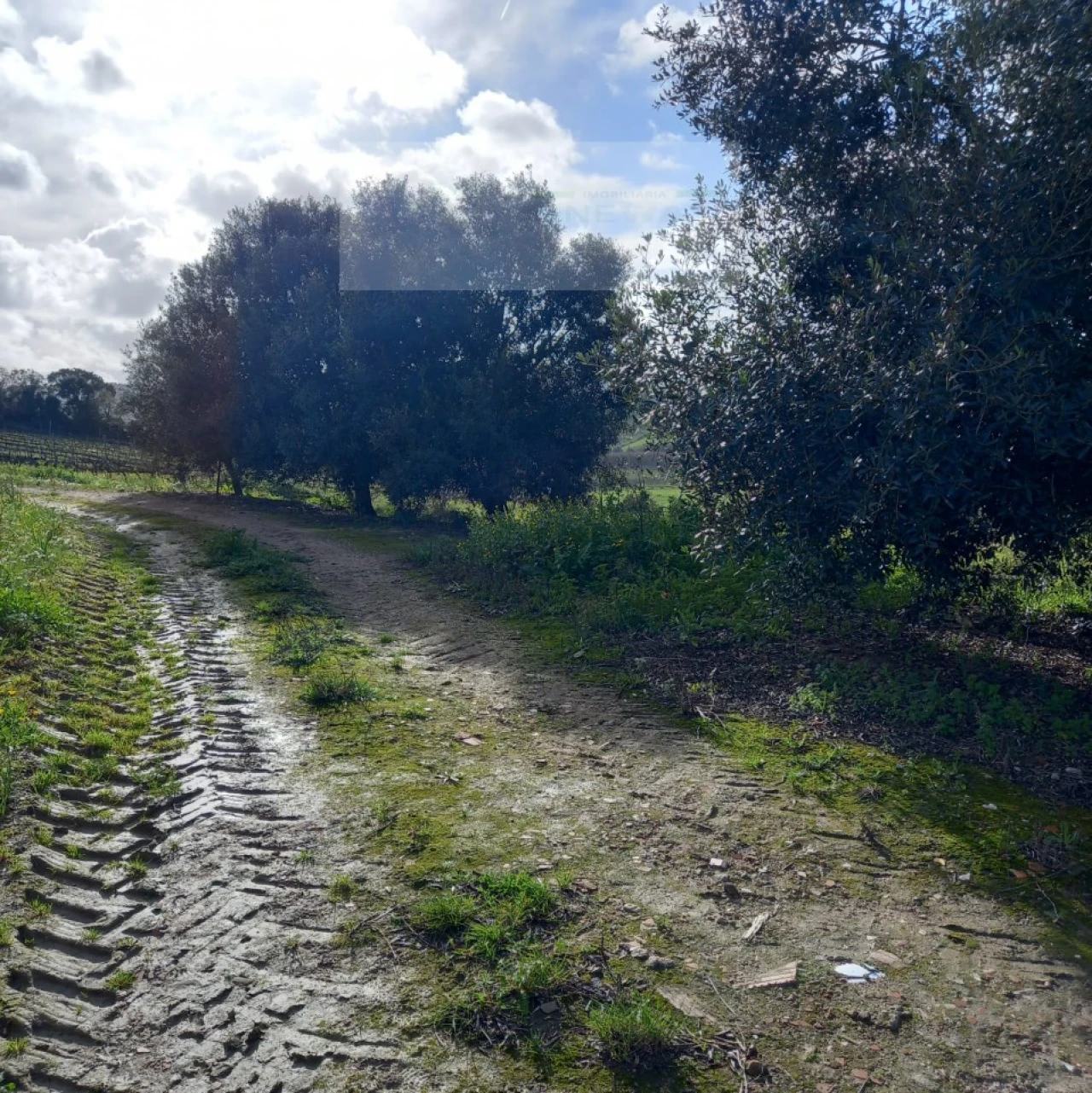 Terreno para Venda em Azueira e Sobral da Abelheira Foto 28