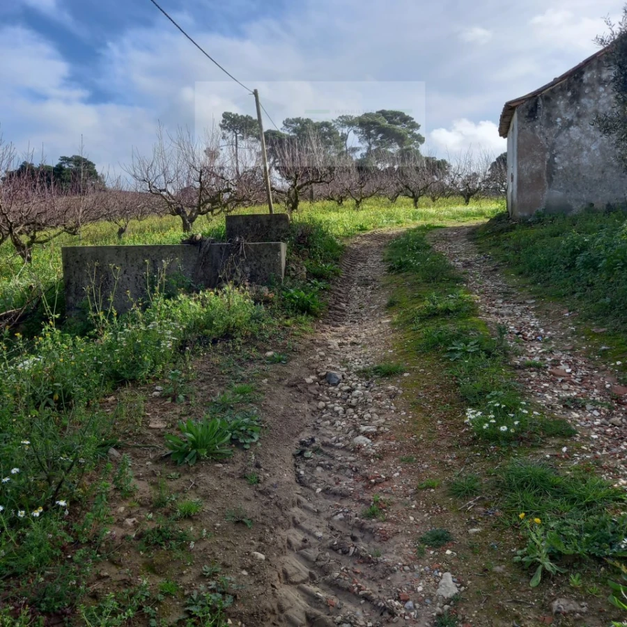 Terreno para Venda em Azueira e Sobral da Abelheira Foto 8