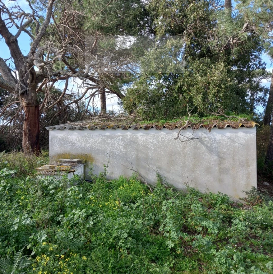 Terreno para Venda em Azueira e Sobral da Abelheira Foto 14