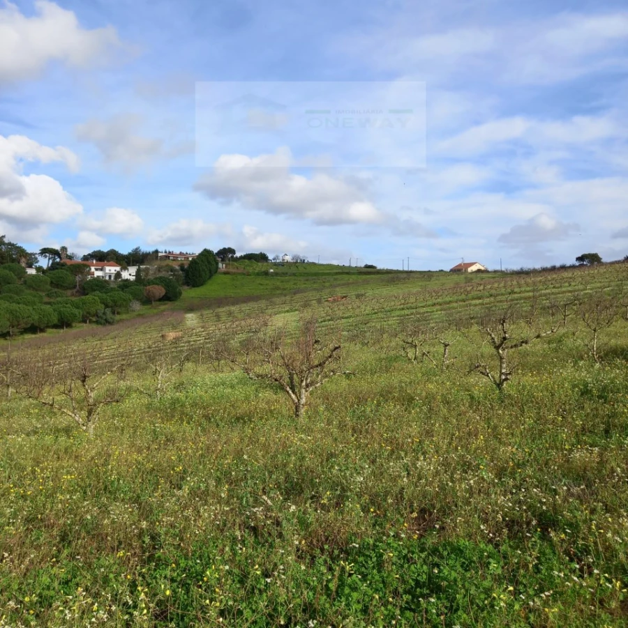 Terreno para Venda em Azueira e Sobral da Abelheira Foto 17