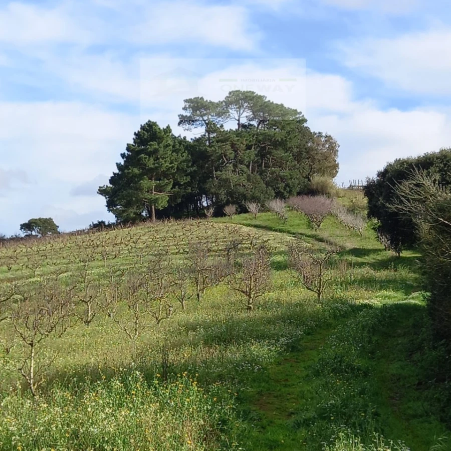 Terreno para Venda em Azueira e Sobral da Abelheira Foto 21