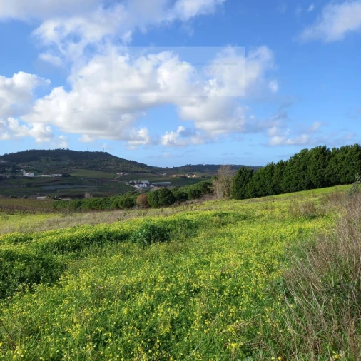 Terreno para Venda em Azueira e Sobral da Abelheira Foto 22