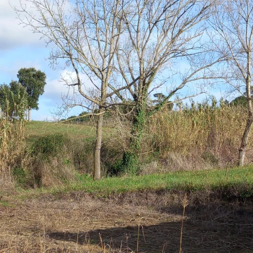 Terreno para Venda em Azueira e Sobral da Abelheira Foto 24