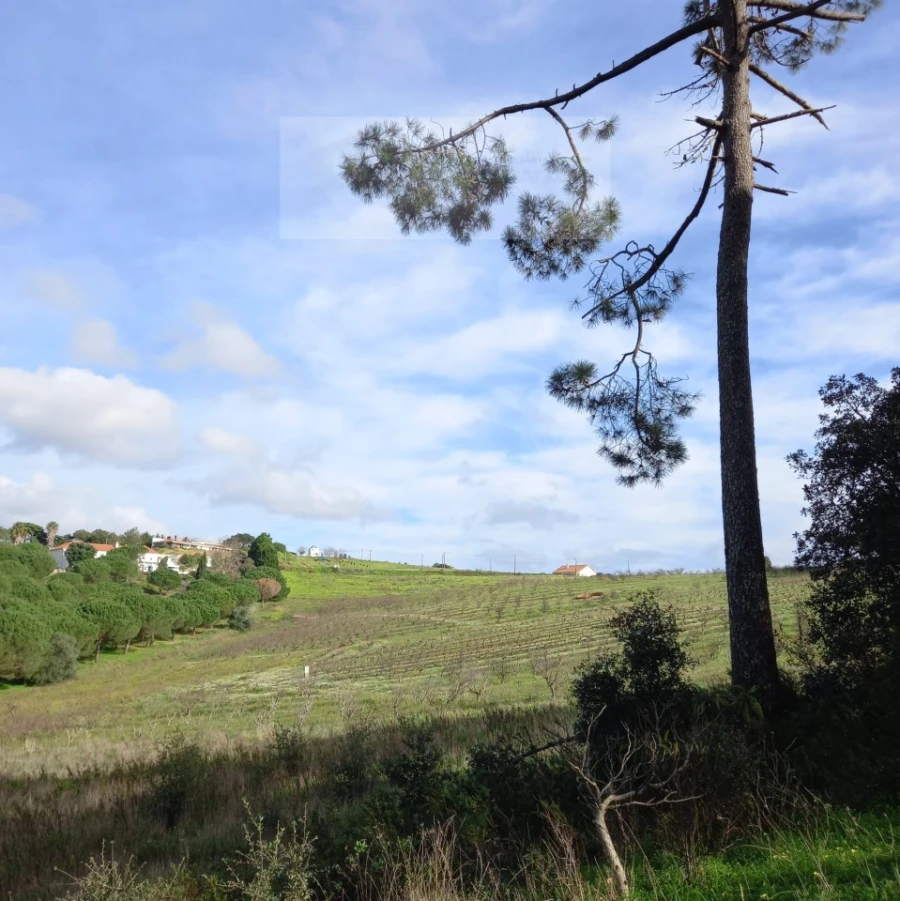 Terreno para Venda em Azueira e Sobral da Abelheira Foto 25