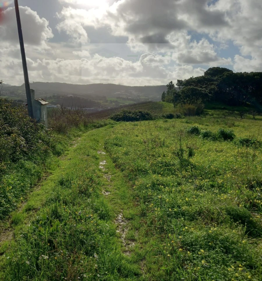Terreno para Venda em Azueira e Sobral da Abelheira Foto 27