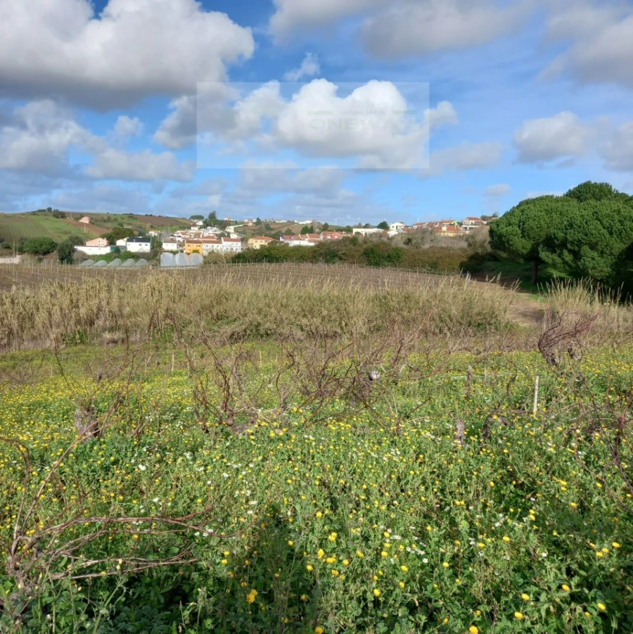 Terreno para Venda em Azueira e Sobral da Abelheira Foto 29