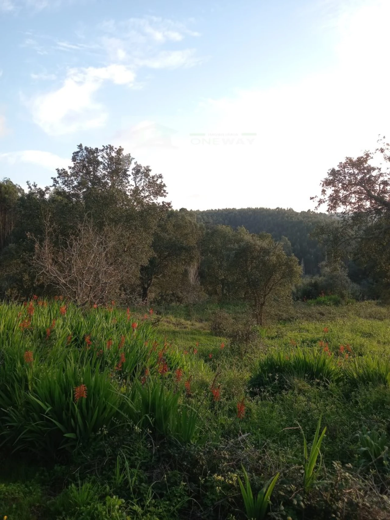 Terreno para Venda em Mafra Foto 3