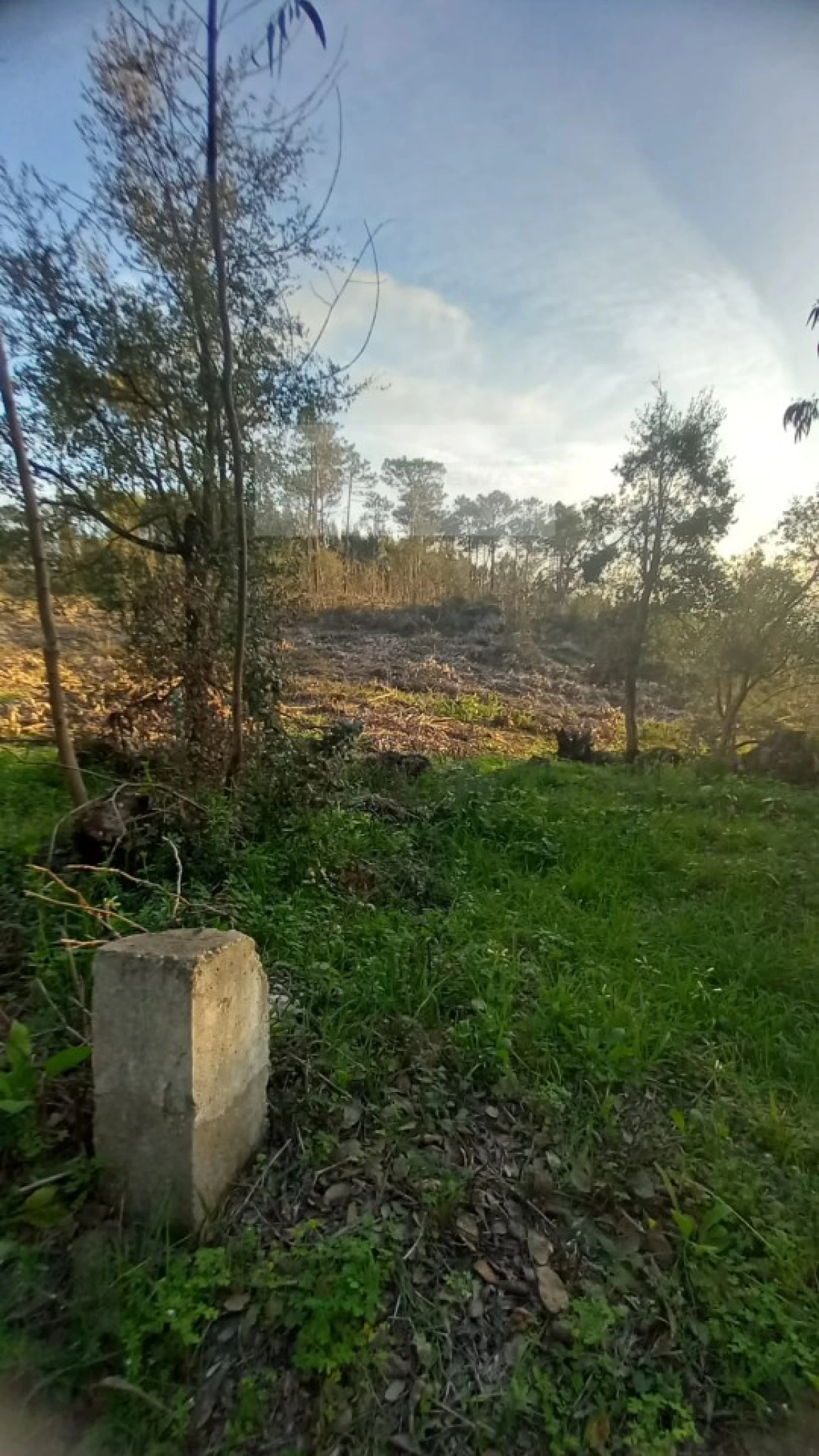 Terreno para Venda em Mafra Foto 6