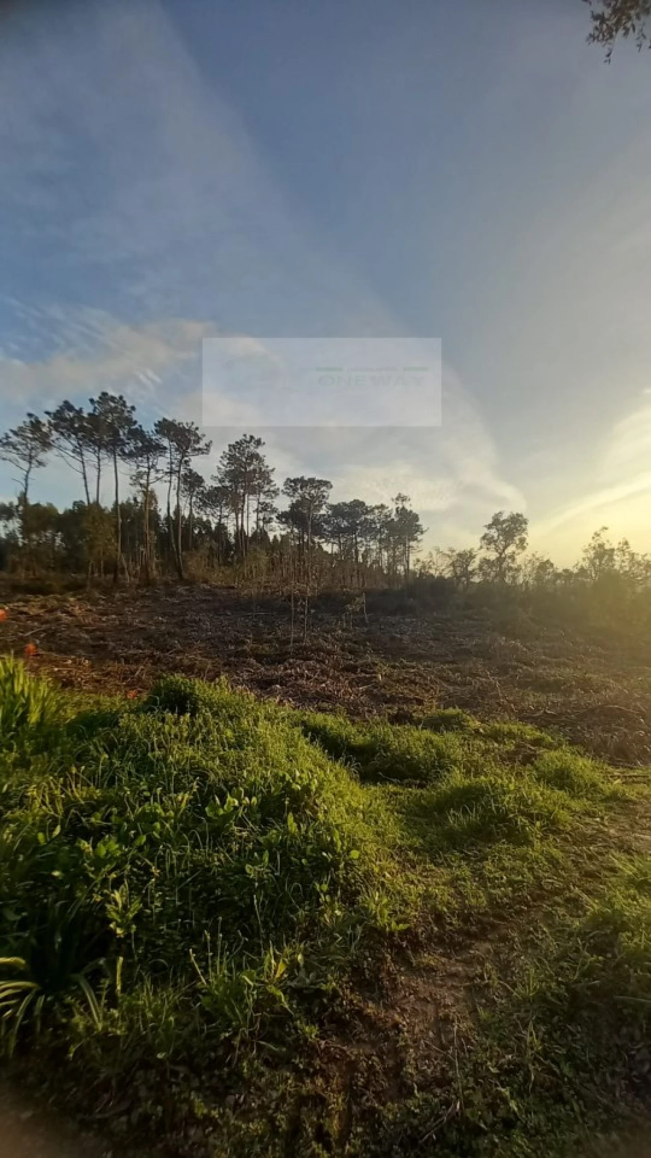 Terreno para Venda em Mafra Foto 7