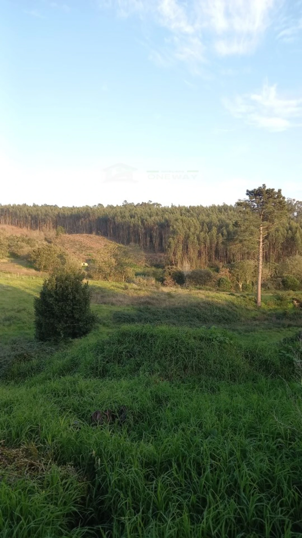 Terreno para Venda em Mafra Foto 8