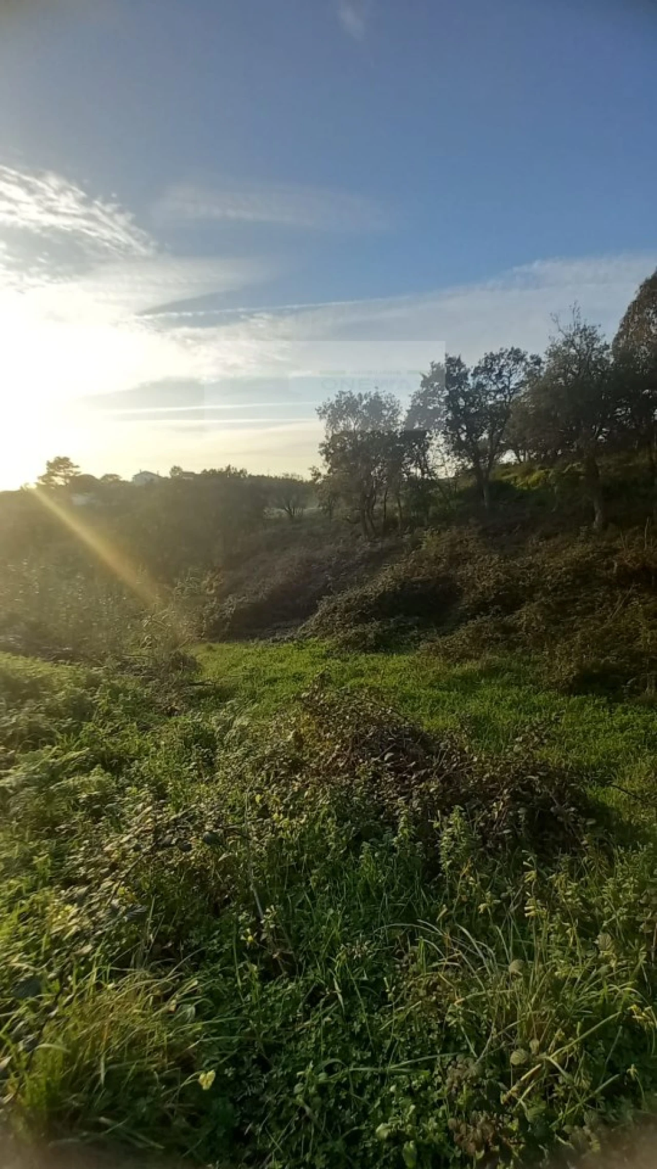 Terreno para Venda em Mafra Foto 10