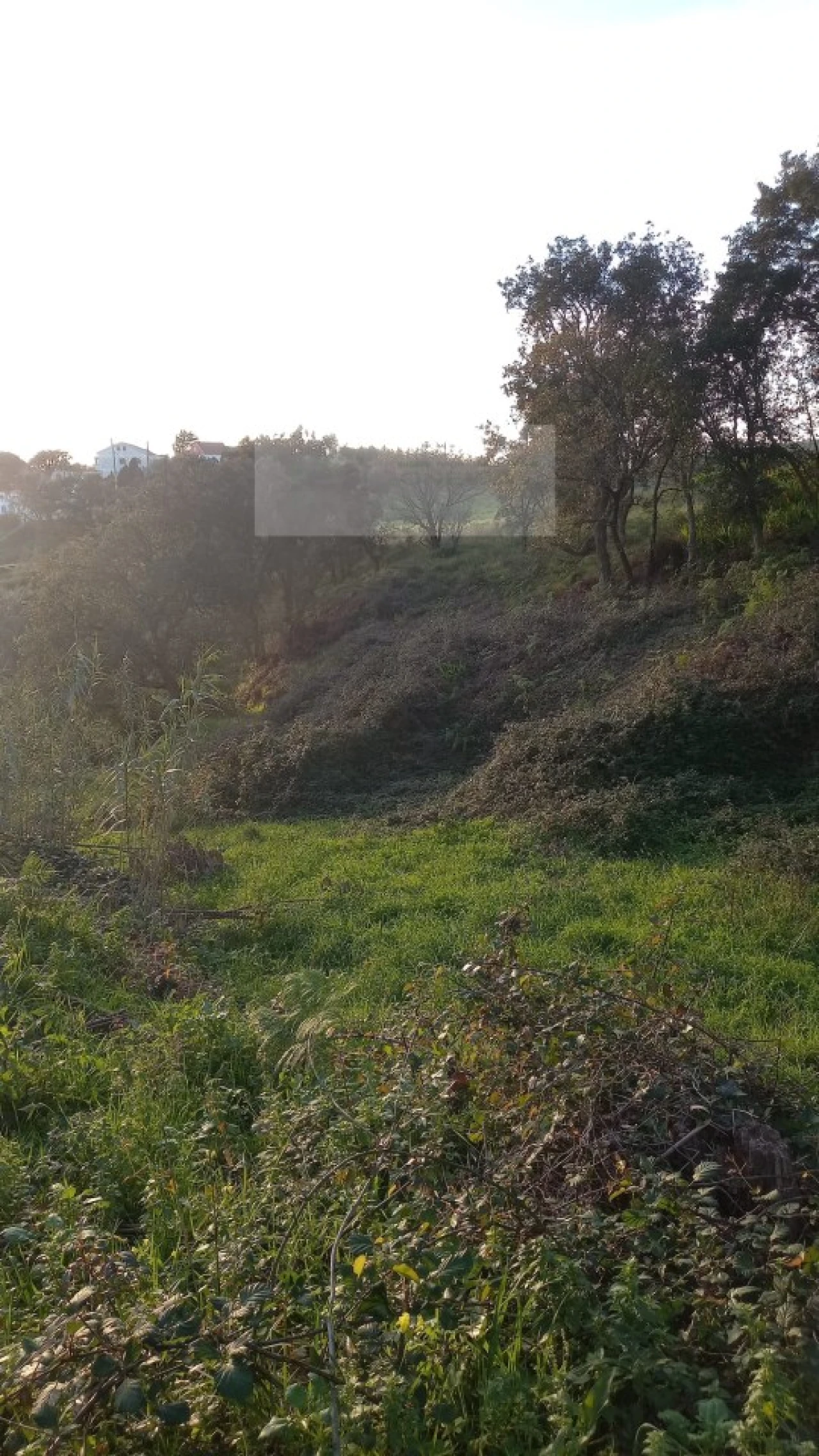 Terreno para Venda em Mafra Foto 13