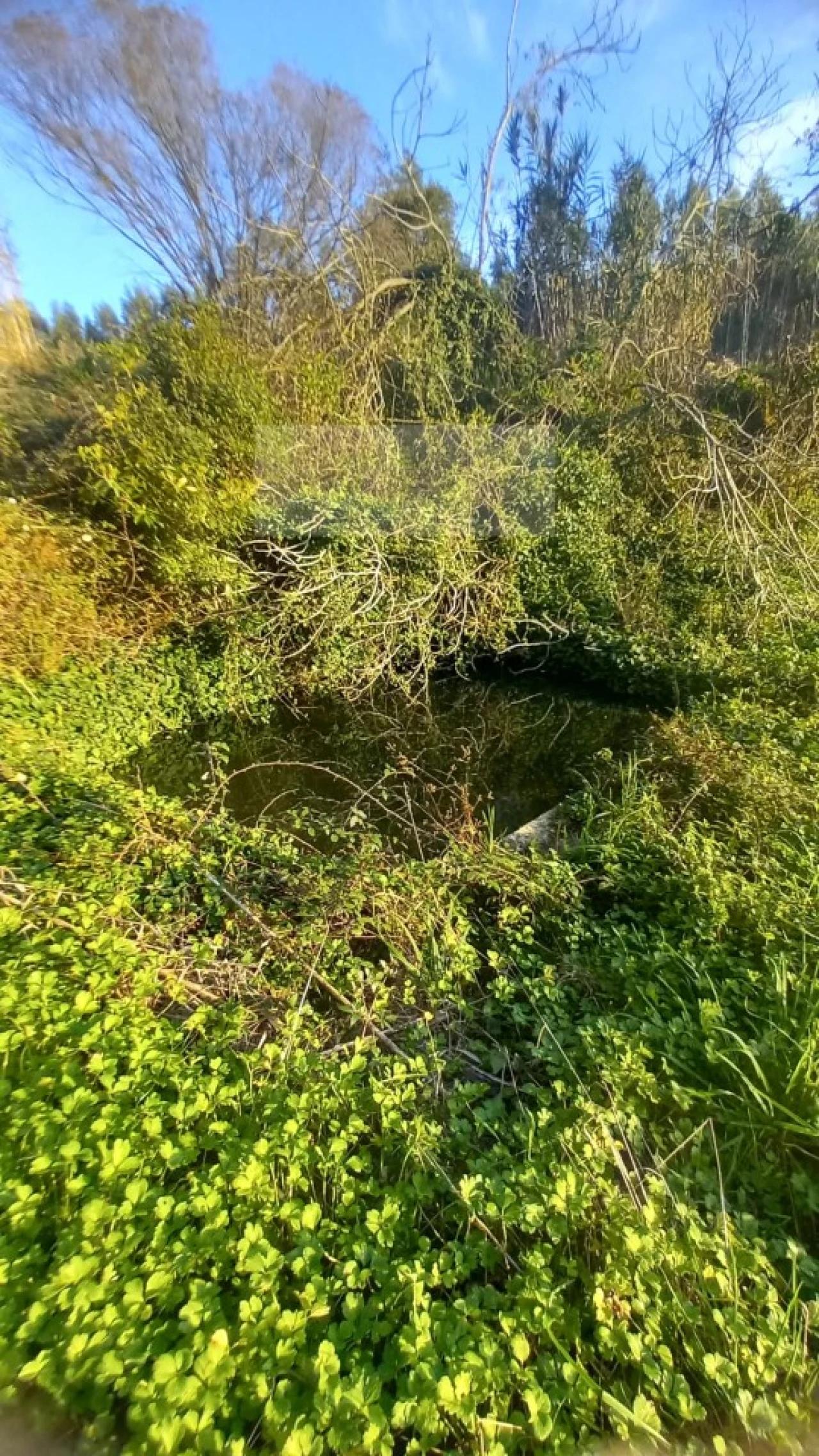 Terreno para Venda em Mafra Foto 2