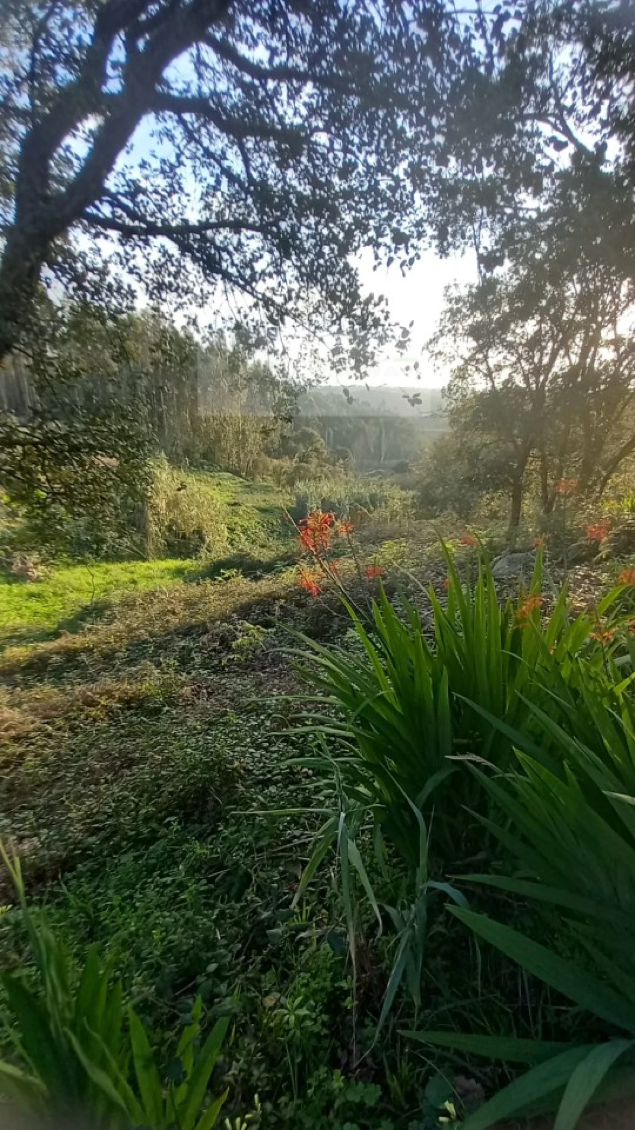 Terreno para Venda em Mafra Foto 17