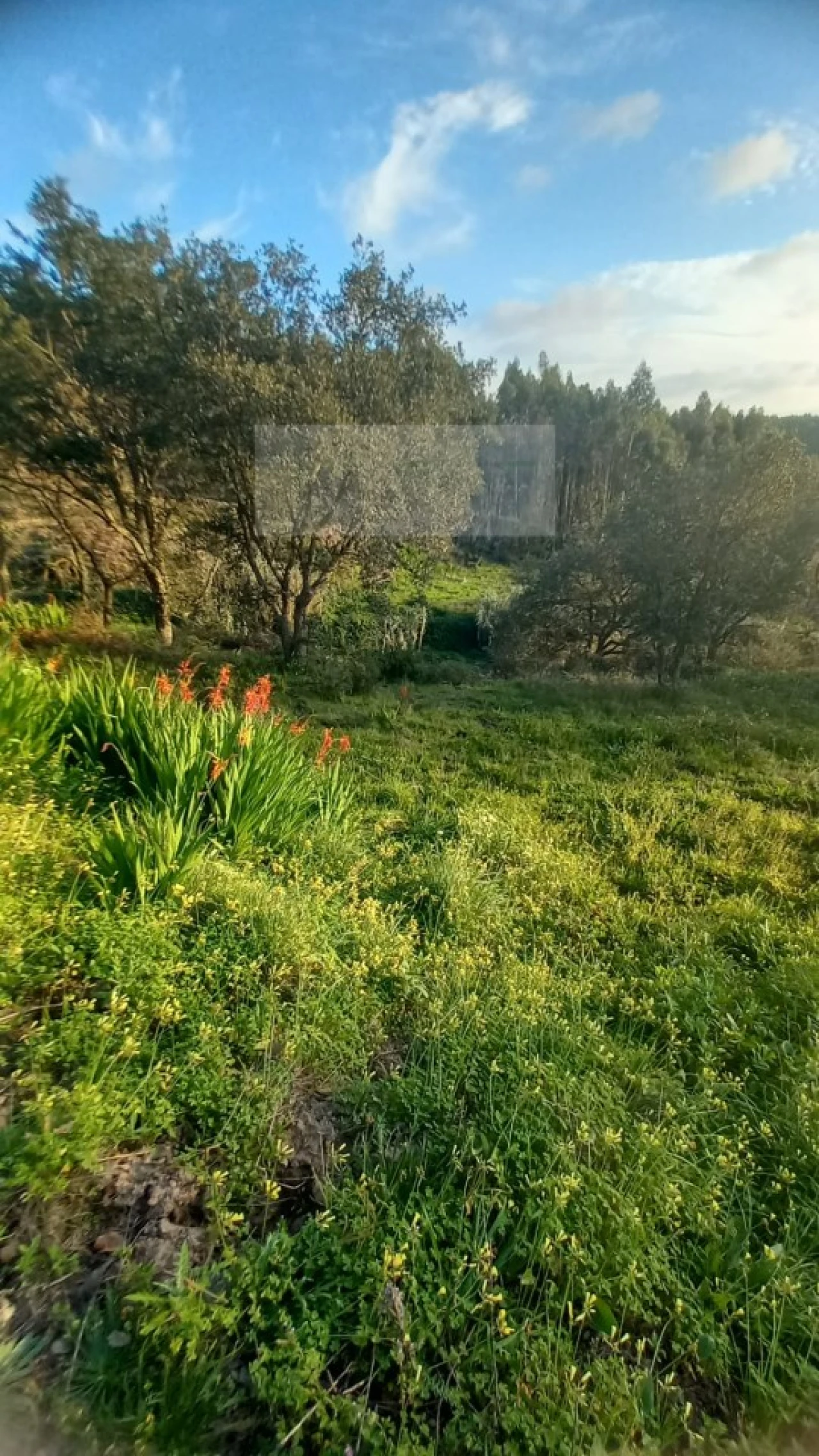Terreno para Venda em Mafra Foto 20