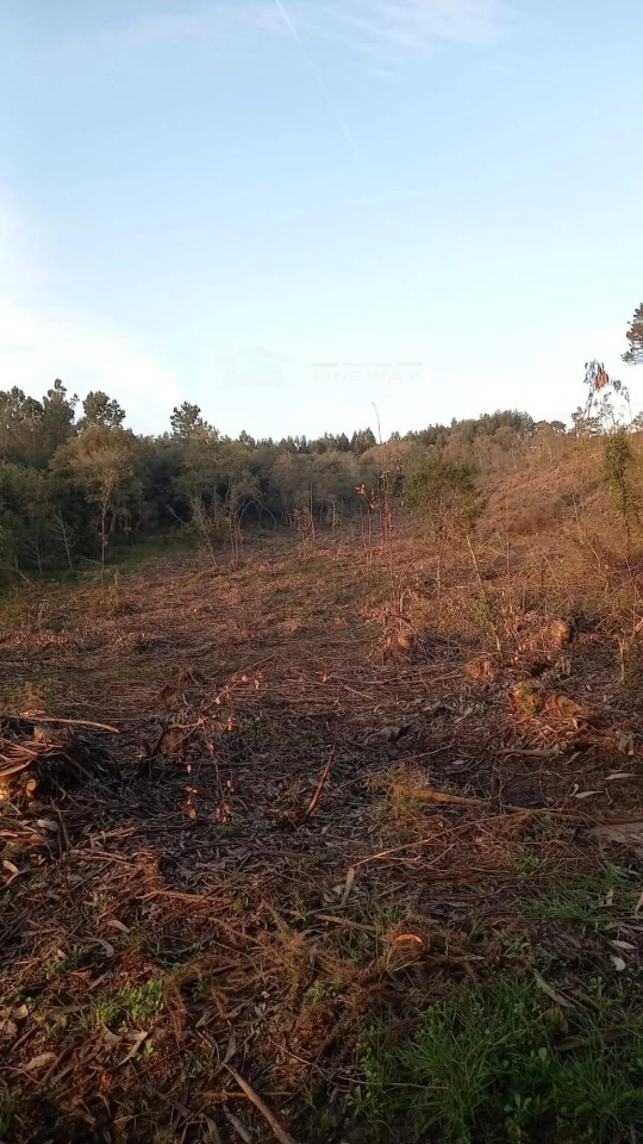 Terreno para Venda em Mafra Foto 23