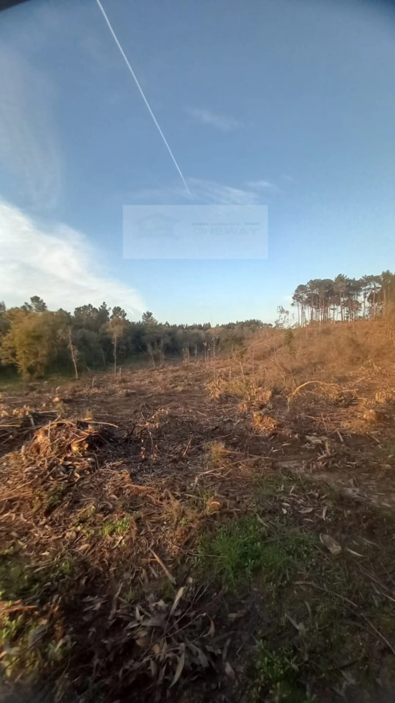 Terreno para Venda em Mafra Foto 24
