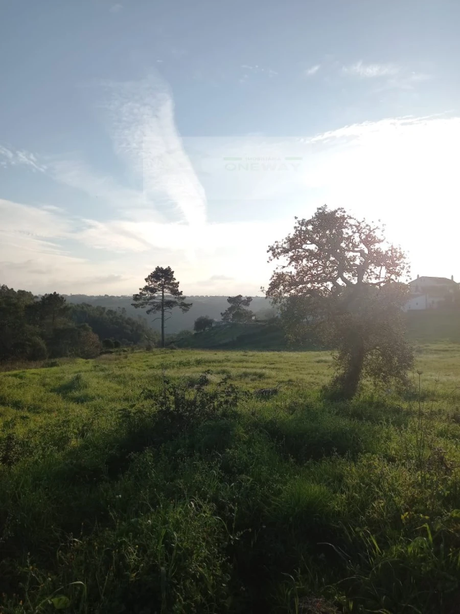 Terreno para Venda em Mafra
