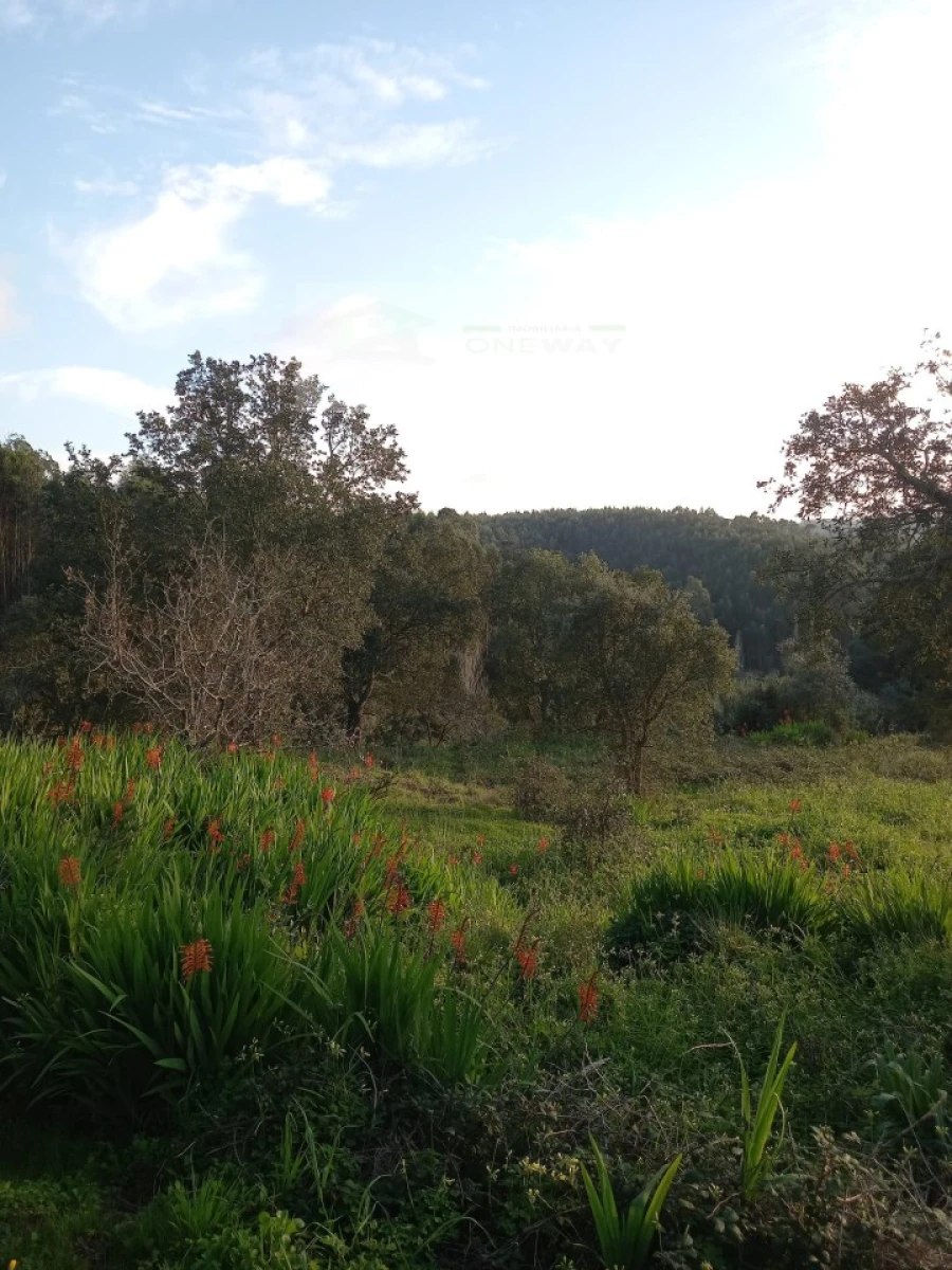 Terreno para Venda em Mafra Foto 3