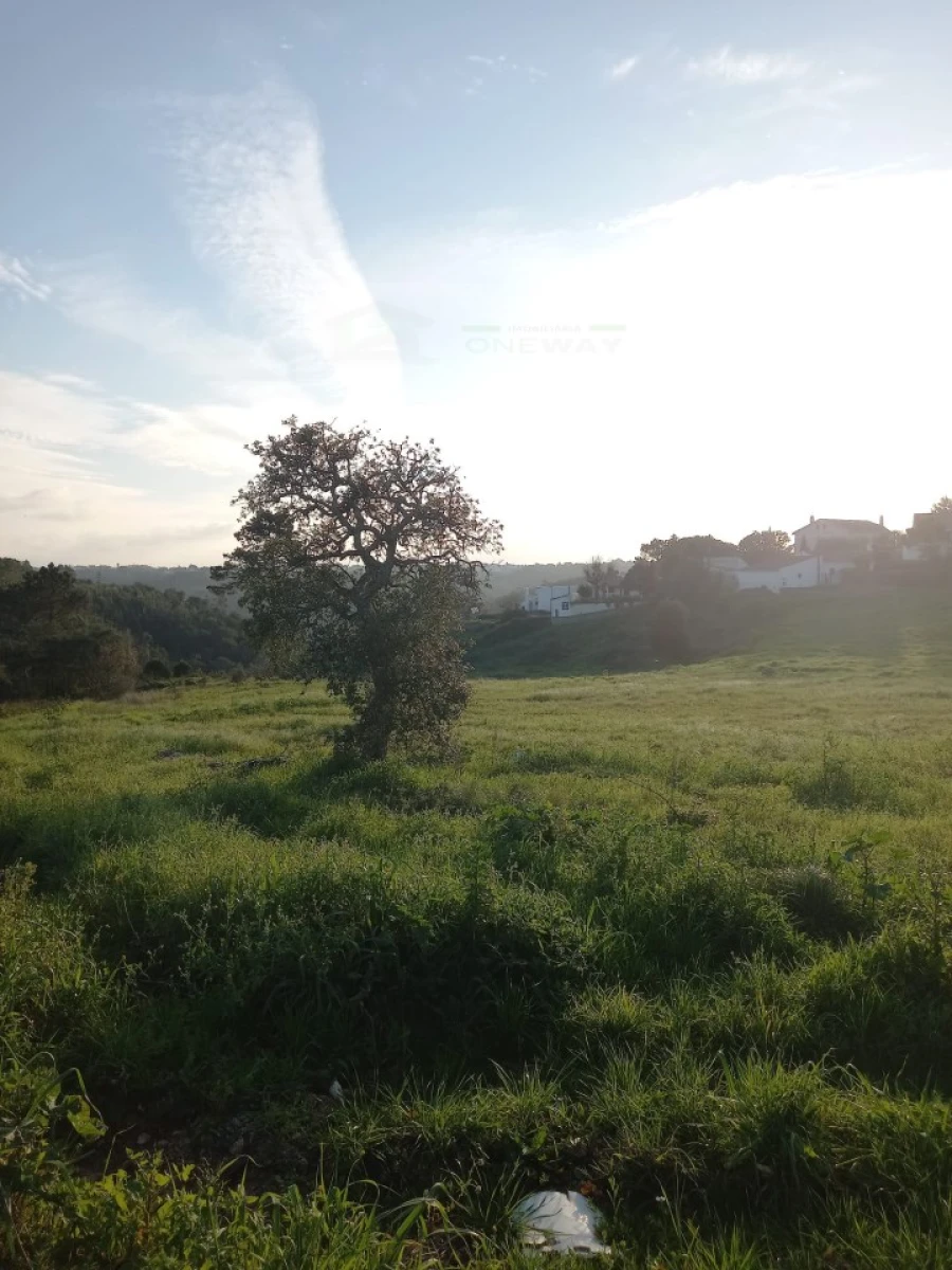 Terreno para Venda em Mafra Foto 5